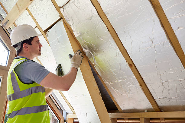 Best Specialized Insulation Services in Waukee, IA